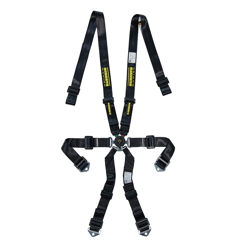 Schroth Racing 94530A-1 Flexi 2x2 - FHR Specific - Blue