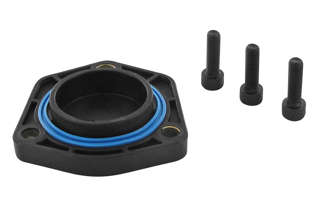 VAICO V102638 Seal, Oil Pan | ML Performance Car Parts