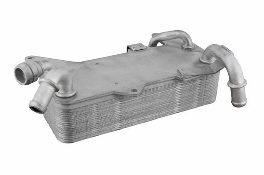 VEMO V10-60-0044 Oil Cooler, Automatic Transmission | ML Performance Car Parts