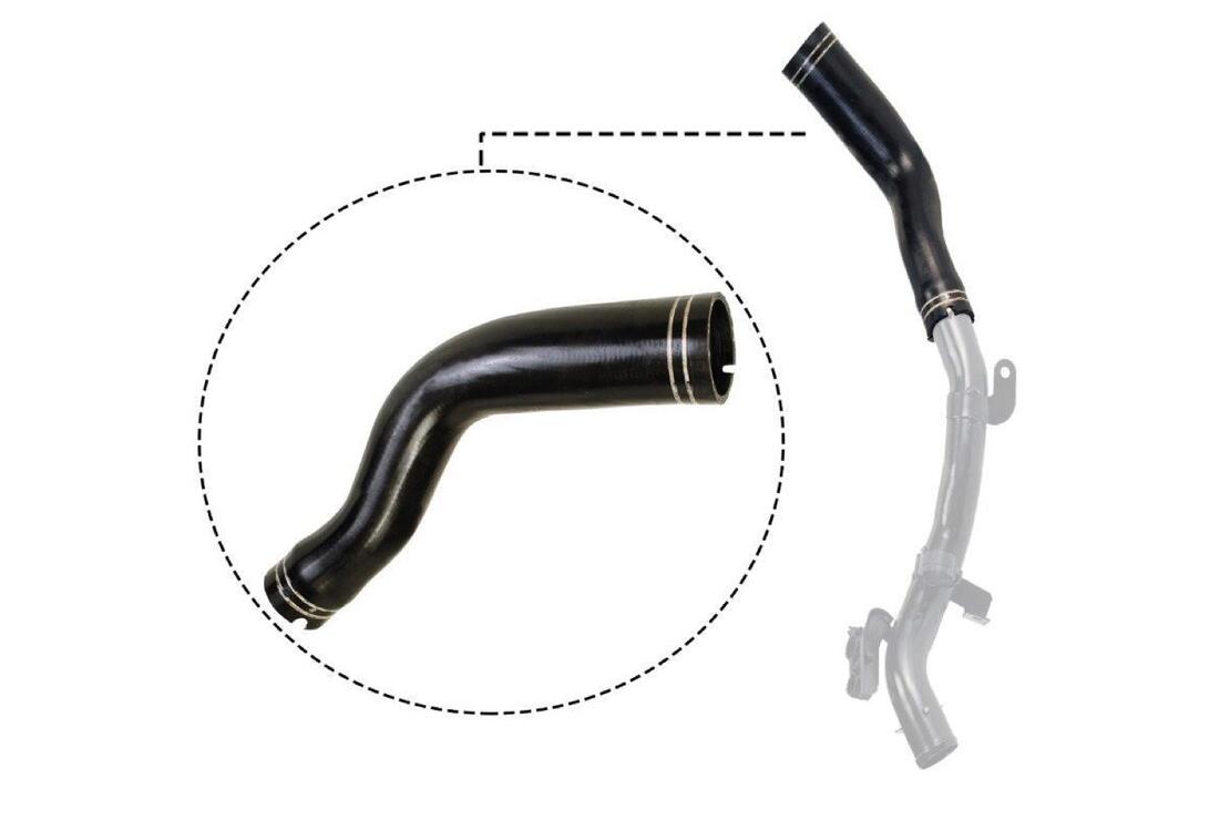 VAICO V240694 Charge Air Hose | ML Performance Car Parts