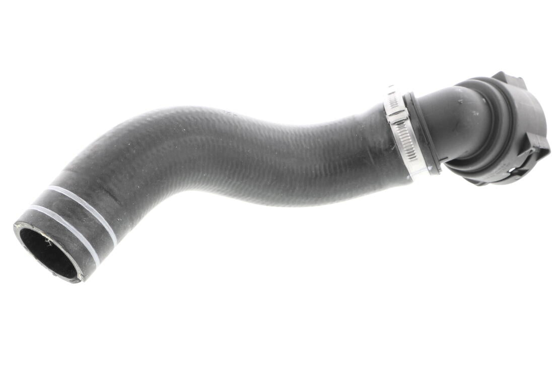 VAICO V240833 Radiator Hose | ML Performance Car Parts