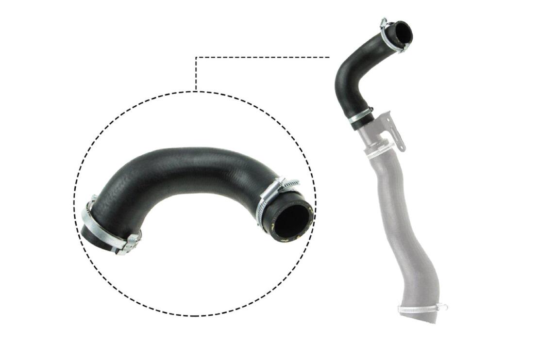 VAICO V251026 Charge Air Hose | ML Performance Car Parts