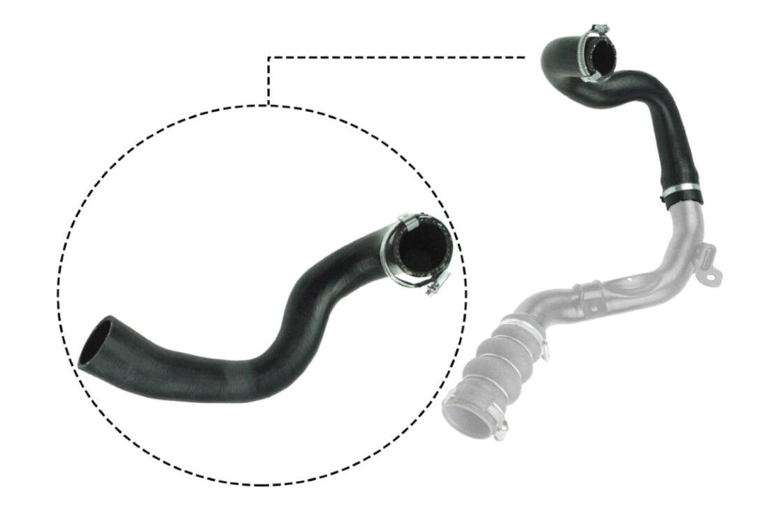 VAICO V251053 Charge Air Hose | ML Performance Car Parts