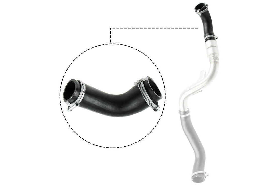 VAICO V251487 Charge Air Hose | ML Performance Car Parts