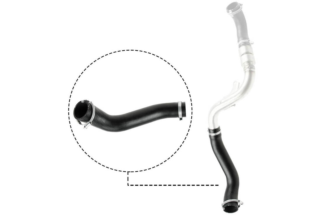 VAICO V251488 Charge Air Hose | ML Performance Car Parts