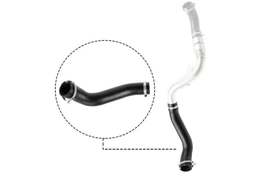 VAICO V251488 Charge Air Hose | ML Performance Car Parts