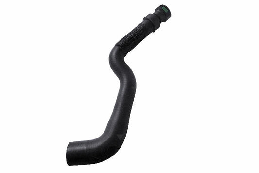 VAICO V252342 Radiator Hose | ML Performance Car Parts