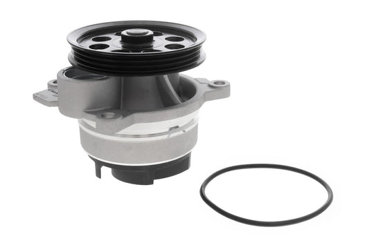 VAICO V2550038 Water Pump, Engine Cooling | ML Performance Car Parts