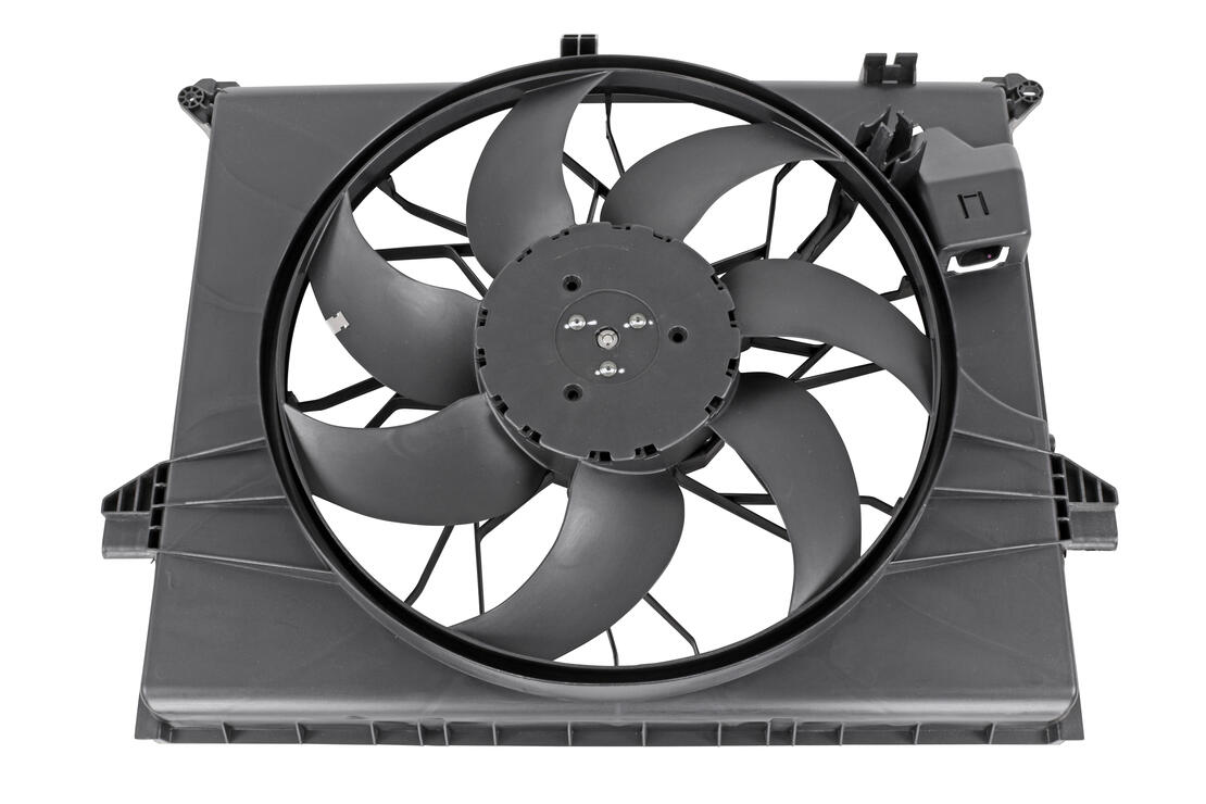 VEMO V30-01-0019 Fan, Engine Cooling