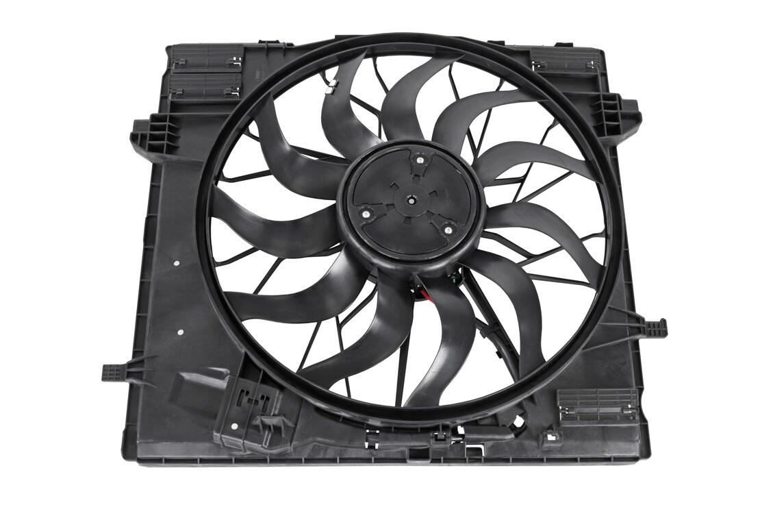 VEMO V30-01-0024 Fan, Engine Cooling