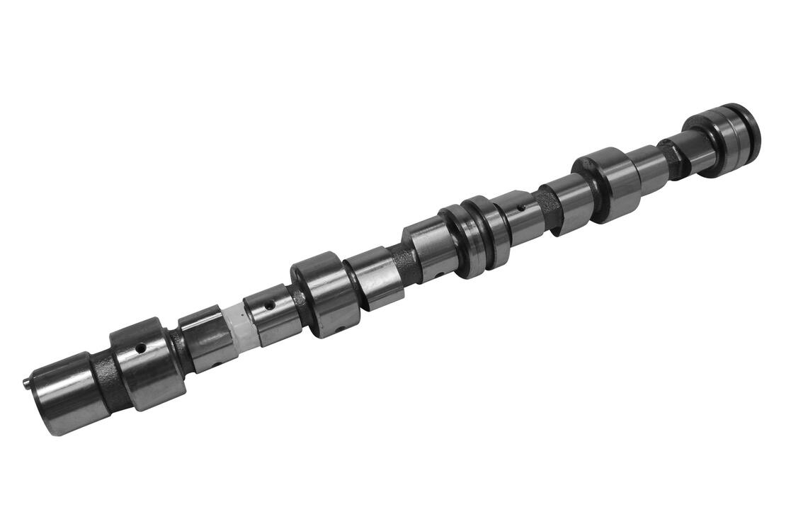 VAICO V400033 Camshaft | ML Performance Car Parts