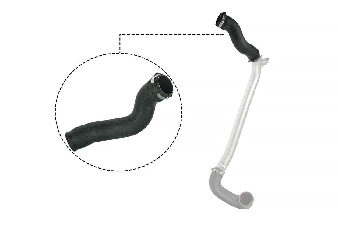 VAICO V401513 Charge Air Hose | ML Performance Car Parts