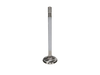 Manley Performance Manley Ford Coyote 5.0L 32mm Extreme Duty Exhaust Valves (Set of 8)