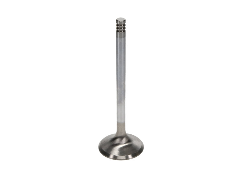 Manley Performance Manley Chrysler Hemi 6.1L w/ Triple Groove 1.625in Race Master Exhaust Valves (Single)