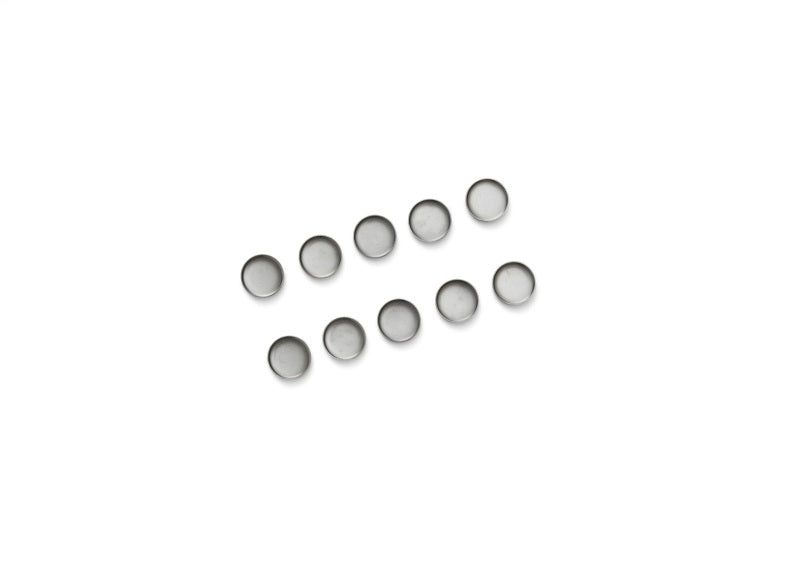 Ford Racing Cylinder Block Camshaft Plug