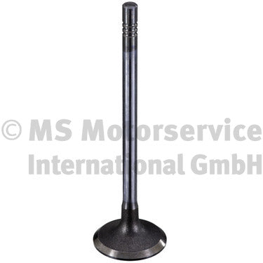 TRW 189002 Intake Valve