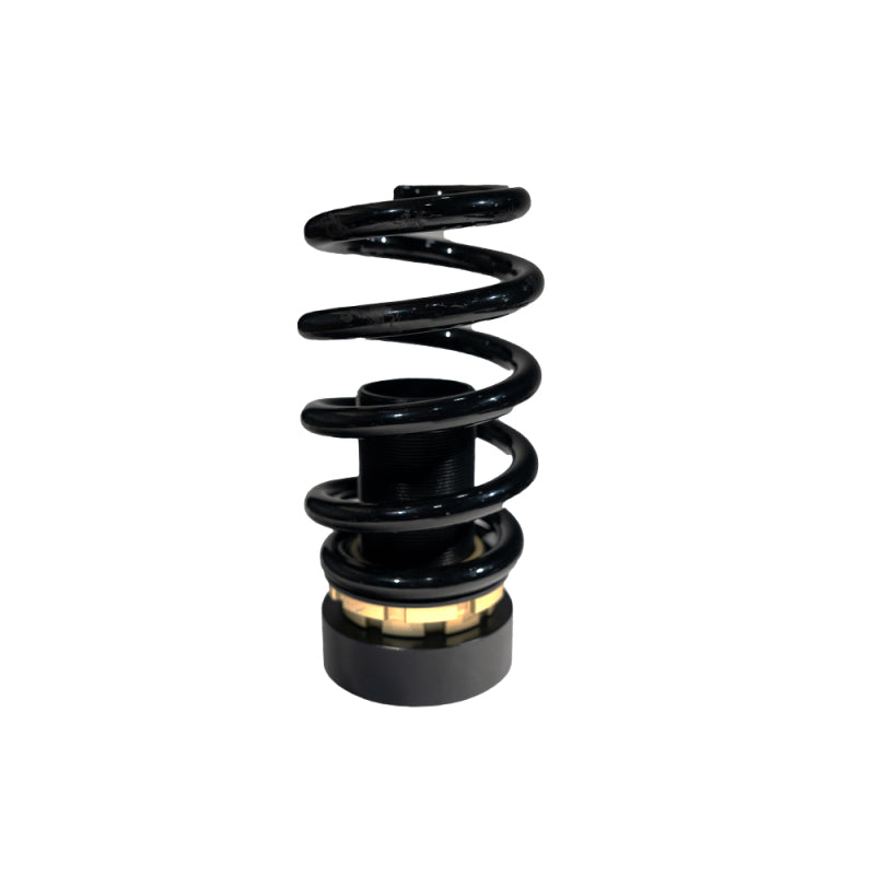 BLOX Racing 17+ Honda Civic Si Plus Series Fully Adjustable Coilovers 17+ Honda Civic Hatchback 52mm