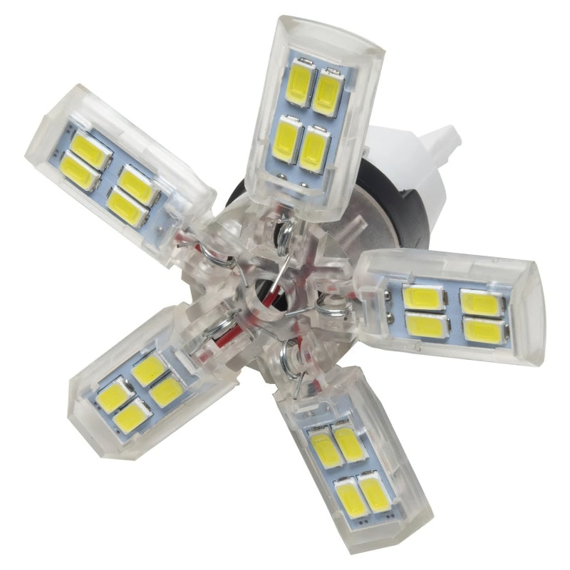 ORACLE Lighting Oracle 7440 24 SMD 3 Chip Spider Bulb (Single) - Cool White