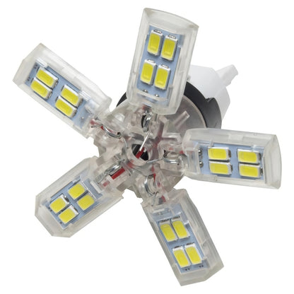 ORACLE Lighting Oracle 7440 24 SMD 3 Chip Spider Bulb (Single) - Cool White