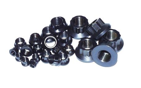 ARP 1/4-20 12pt nut kit