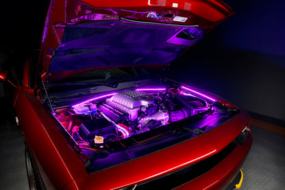 ORACLE Lighting Oracle Engine Bay LED Kit 60in - Pink