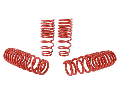 Skunk2 Racing Skunk2 94-01 Acura Integra Lowering Springs (2.50in - 2.25in.) (Set of 4)