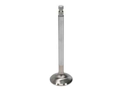 Manley Performance Manley Nissan 3.0L RB30E Exhaust Valve Kit - 36.10mm Head Dia. 124.59mm O/A Length, 0.3136in Stem