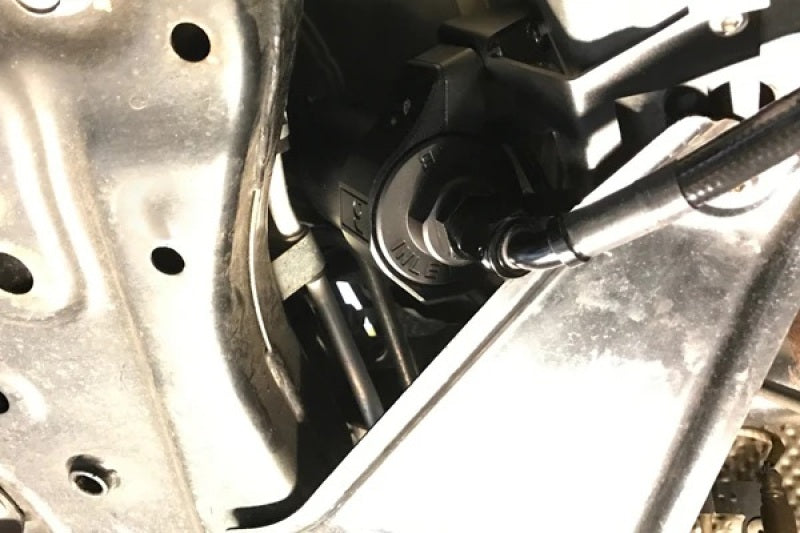 Radium Engineering Fuel Filter Mount and Filter Clamp EVO X