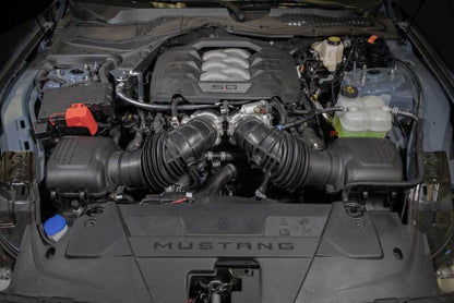 K&N Engineering K&N 2024 Ford Mustang Catch Can / Oil Separator
