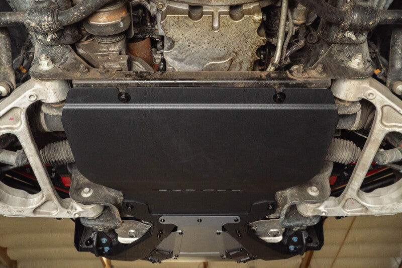 DV8 Offroad 17-20 Ford F-150 Raptor Front Diff Skid Plate