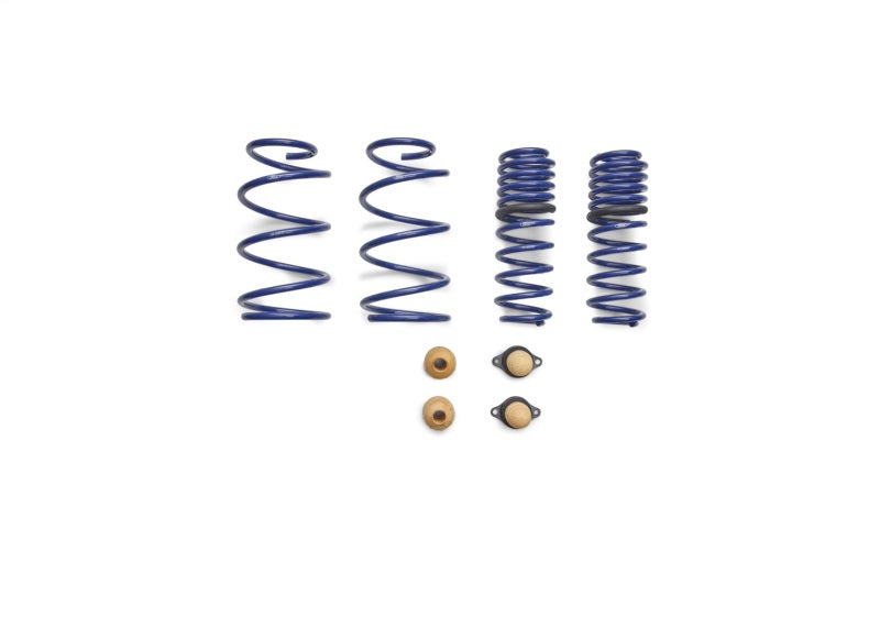 Ford Racing 2012-2013 BOSS 302 Lowering Springs