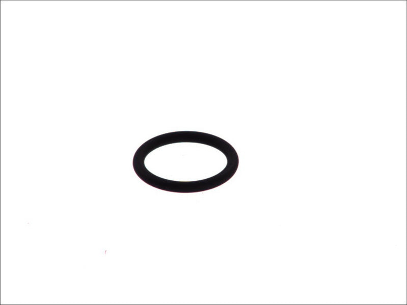 LEMA E124180 Injector Seal Ring