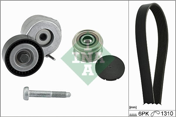 INA 529017910 V-Ribbed Belt Set
