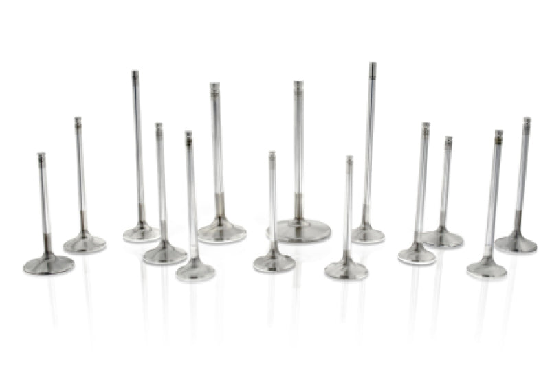 Ferrea Chrysler Big Block 1.6 Head 5/16 Stem Dia 6000 Series Competition Exhaust Valve - Set of 8