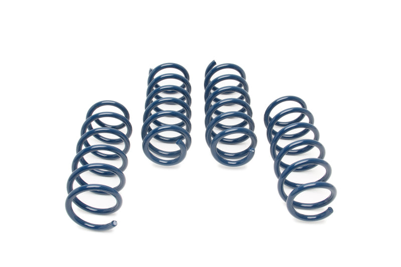 Dinan 11-16 BMW 550i (F10) Performance Spring Set
