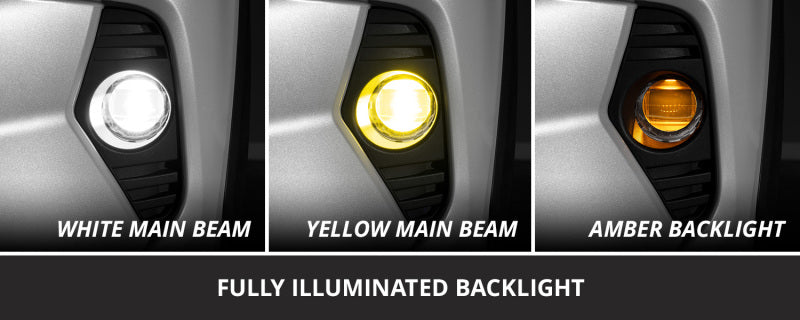 Diode Dynamics 22-25 Toyota RAV4 Elite Series Fog Lamp Kit - White