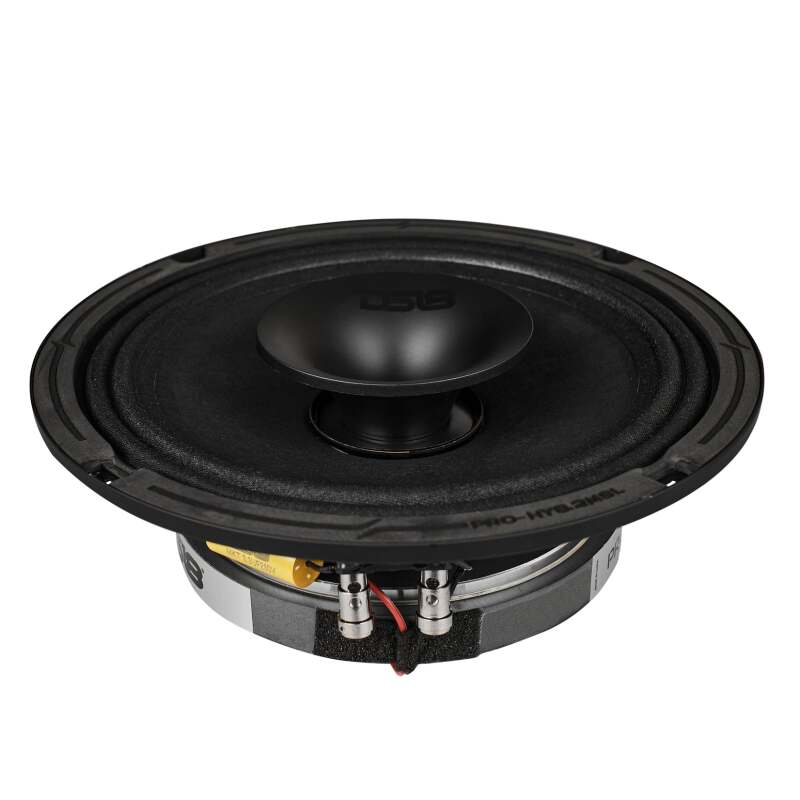 DS18 8in 200 Watts RMS 2 ohm Mid-Range Loudspeaker Shallow Grill Included