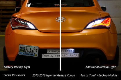 Diode Dynamics 13-16 Hyundai Genesis Coupe Tail as Turn +Backup Module (USDM) Stage 1