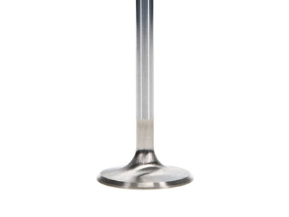 Manley Performance Manley Ford 4.6L DOHC (4 Valve) Triple Groove 37mm Race Master Intake Valves - Single