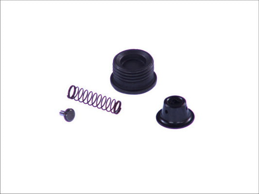 BOSCH 201-451 Common Rail System Repair Kit
