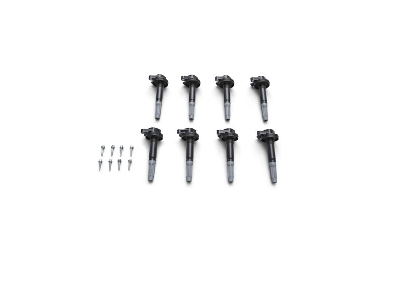 Ford Racing Boss 5.0L Block Plug & Dowel Kit