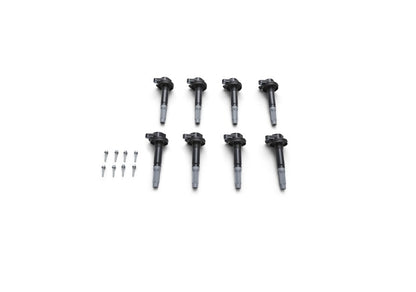 Ford Racing Boss 5.0L Block Plug & Dowel Kit