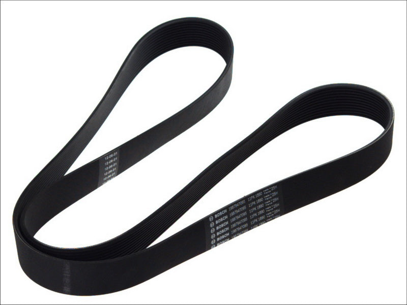 BOSCH 1987947095 V-Ribbed Belt