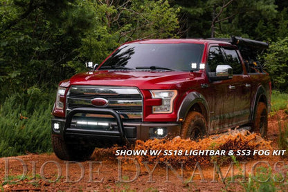 Diode Dynamics 15-20 Ford F-150 Stage Series Ditch Light Kit - Yellow Combo/Driving