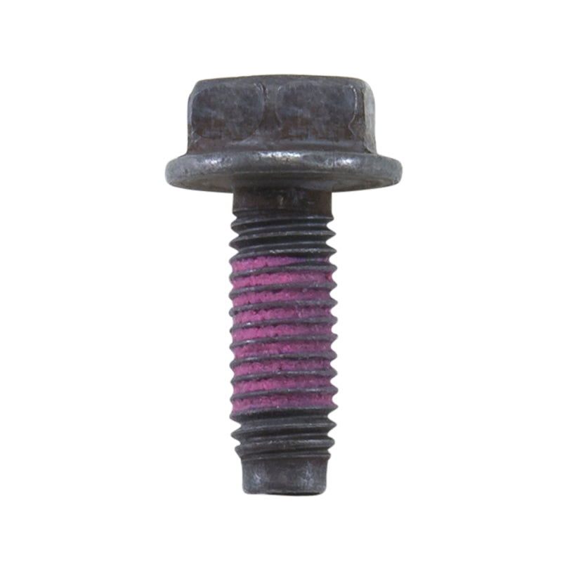 Yukon Gear & Axle Yukon Gear GM 7.25/7.6/8.0/8.6/9.25/9.5/14T/11.5 M8 x 1.25mm Cover Bolt