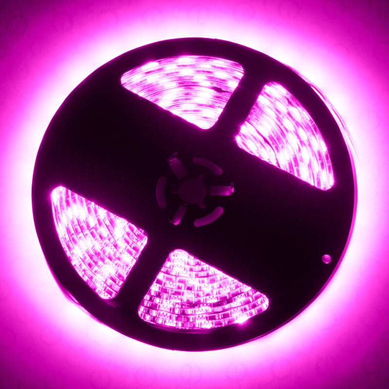 ORACLE Lighting Oracle Exterior Black Flex LED 12in Strip -Pink