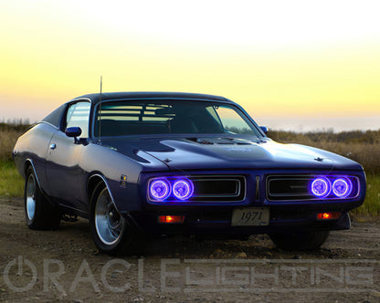 ORACLE Lighting Oracle Pre-Installed Lights 5.75 IN. Sealed Beam - UV/Purple Halo
