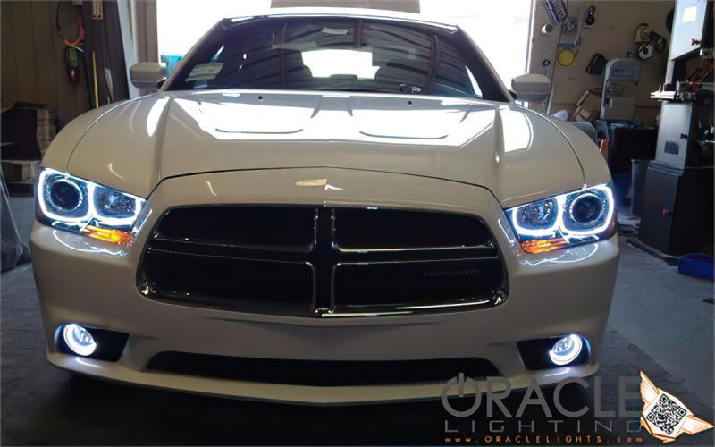 ORACLE Lighting Oracle Dodge Charger 11-12 LED Fog Halo Kit - ColorSHIFT