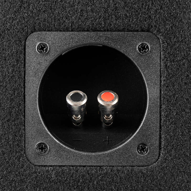 DS18 Dual 10in Loaded 800 Watts RMS 2x GEN-X104D Ported Enclosure Speakers Included