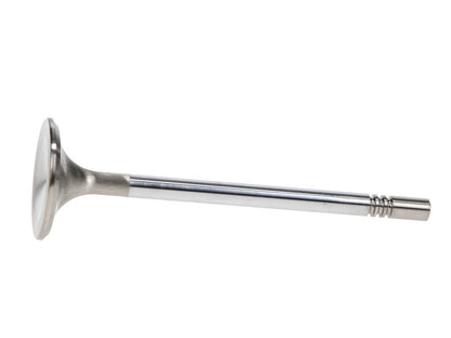 Manley Performance Manley Ford Racing Cylinder Head 4.6L & 5.4L SOHC 36.0mm Race Master Exhaust Valve (Single)